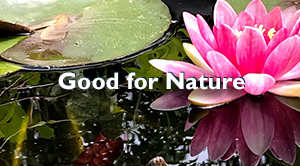 Good for Nature300